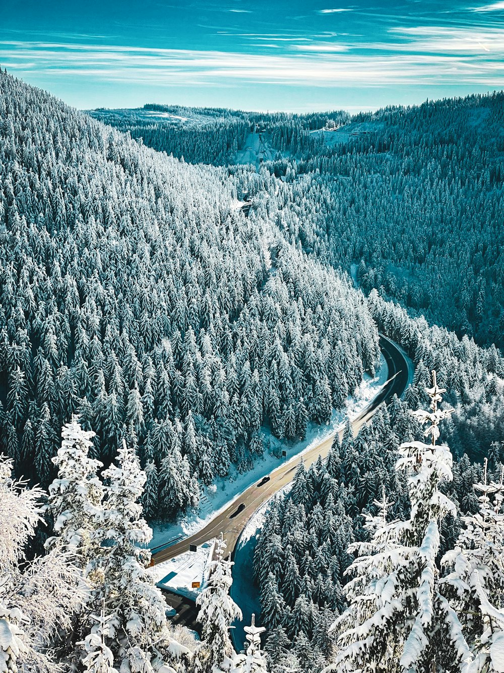 a road winding through a snowy forest covered in snow