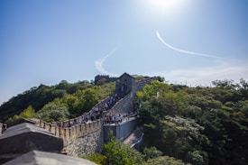 The scene showcases a section of the Great Wall of China winding through lush green hills under a clear blue sky. A large crowd of people is visible traversing the stone structure, highlighting its popularity as a tourist destination. Sunlight brightens the landscape, casting shadows on the wall and surrounding foliage.