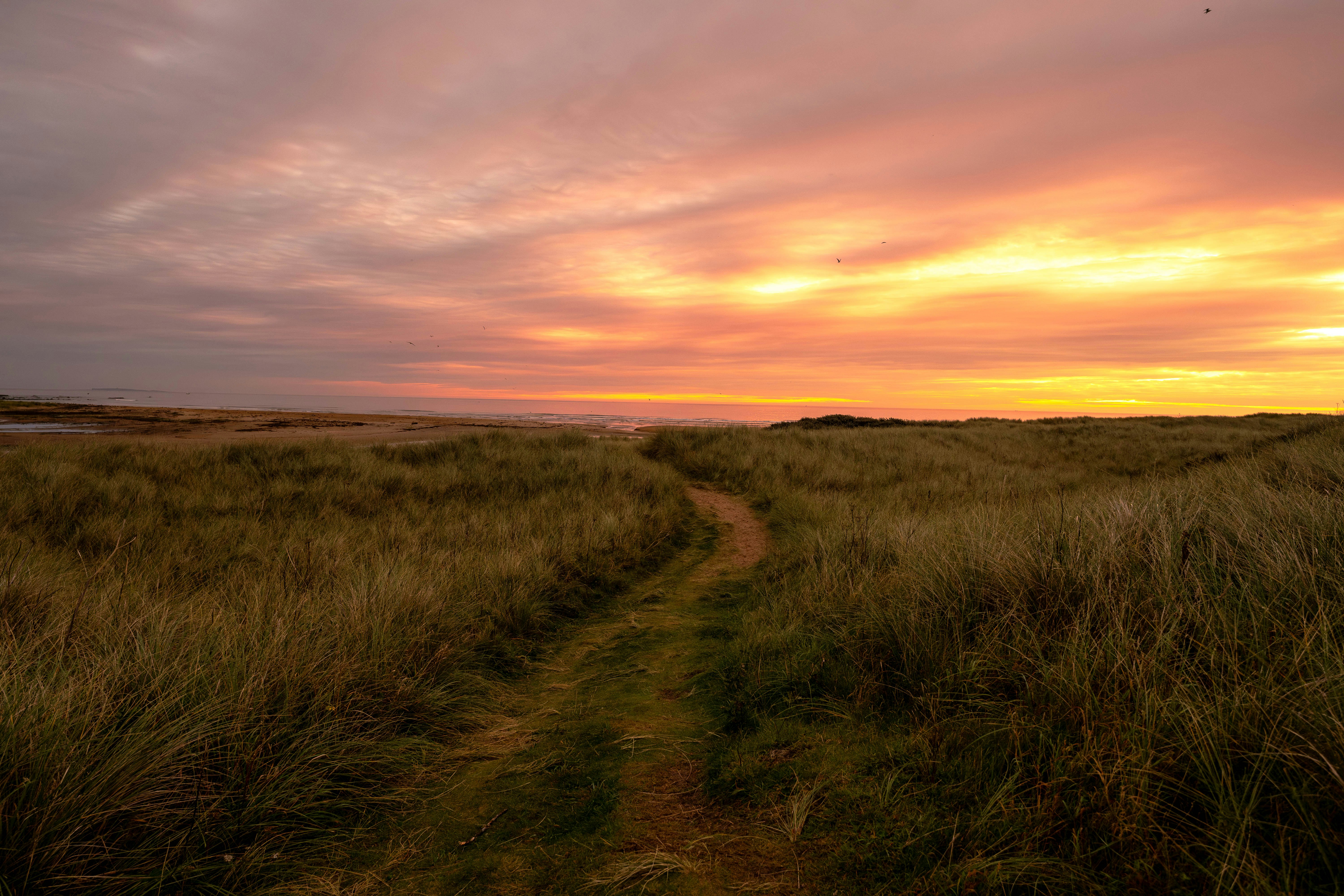 Photo by nathaniel_george