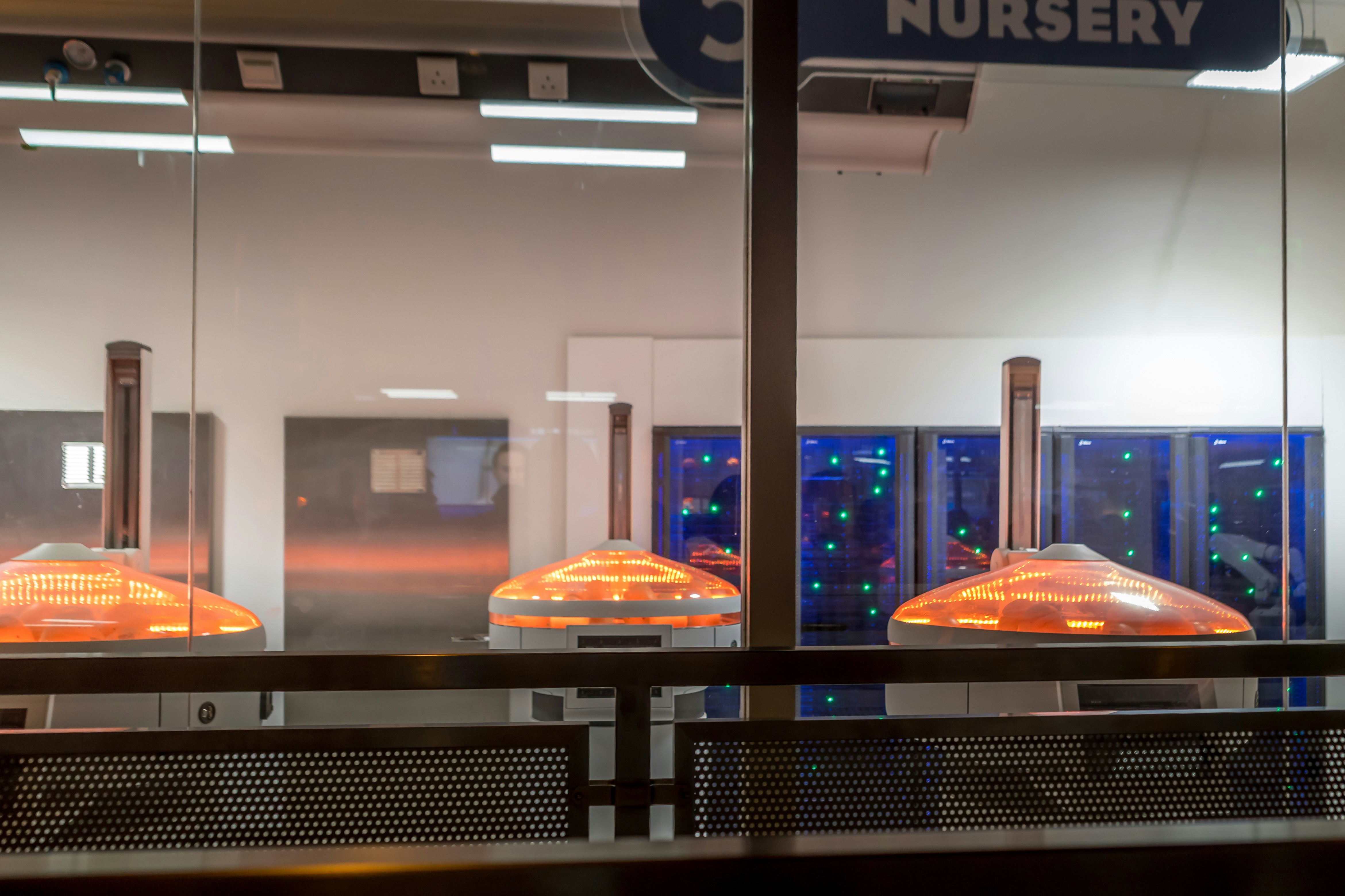 Atmosphère futuriste de trattoria avec éclairage néon