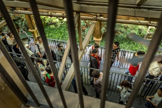 A group of people standing in a line or queue are enclosed by metal bars. They appear to be outdoors, with dense greenery and trees visible in the background. The individuals are dressed casually, some engaging with their phones or talking to each other.