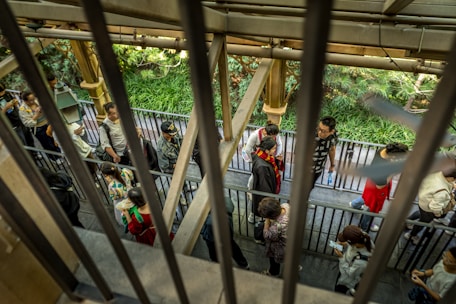 A group of people standing in a line or queue are enclosed by metal bars. They appear to be outdoors, with dense greenery and trees visible in the background. The individuals are dressed casually, some engaging with their phones or talking to each other.