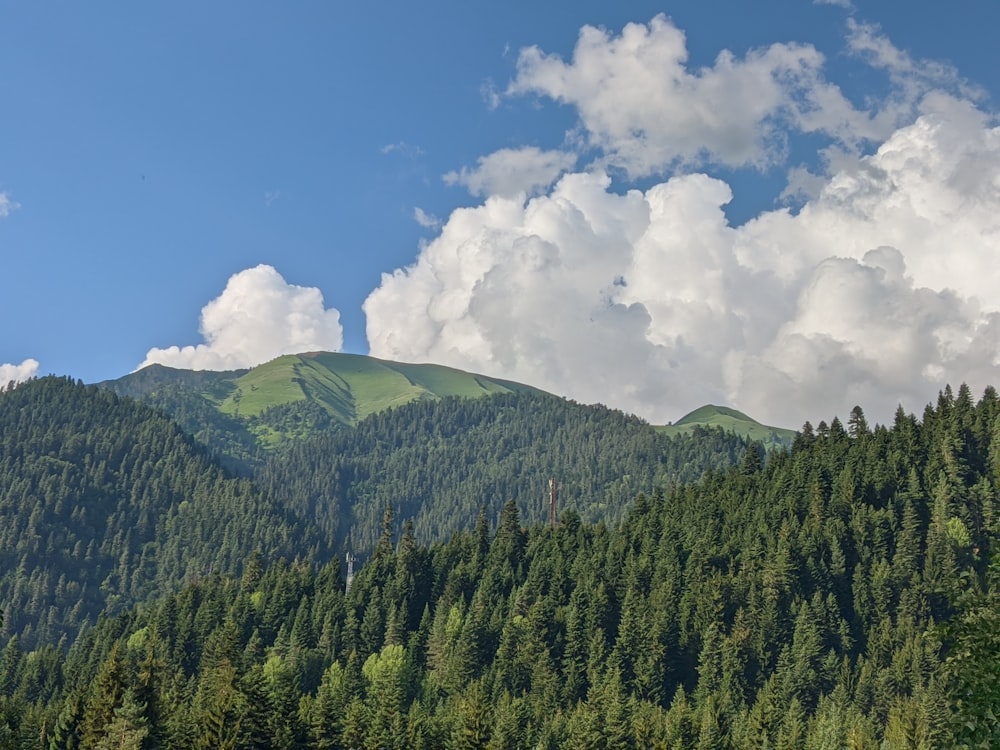 a mountain covered in trees under a cloudy blue sky