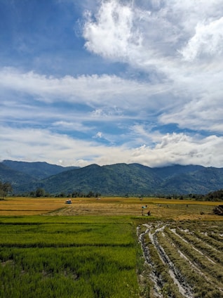 A picturesque view of local farmers working in lush green fields.