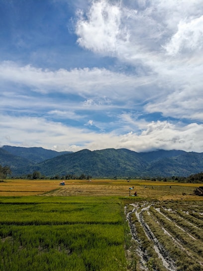 A lush green landscape with farmers working in the fields.