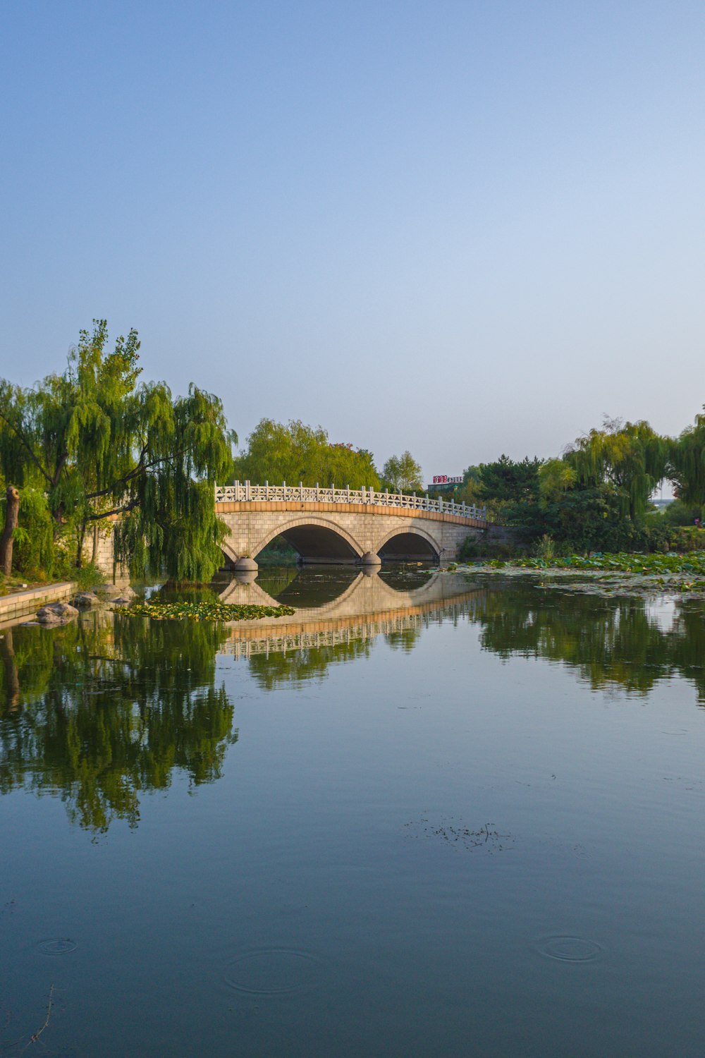 a bridge over a body of water surrounded by trees