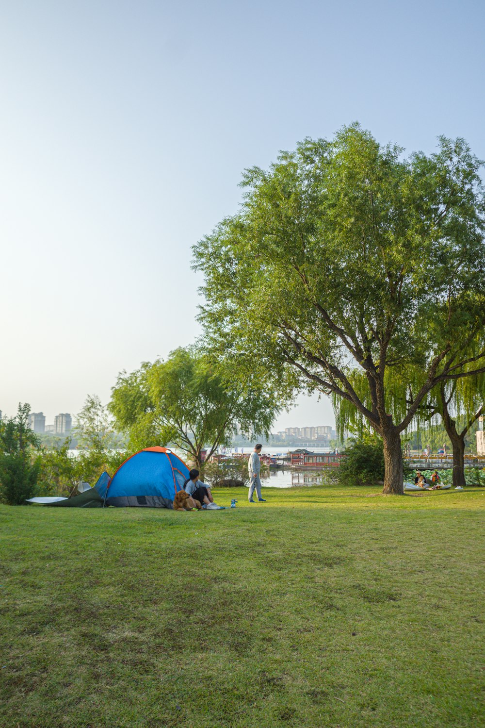 a blue tent sitting on top of a lush green field