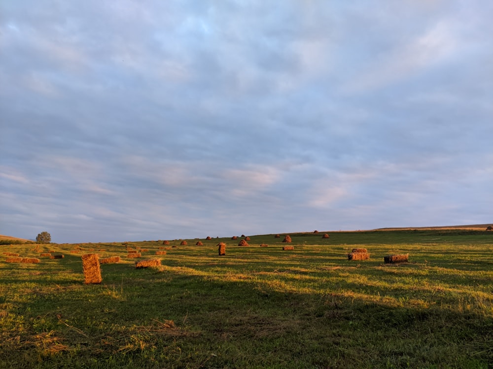 a grassy field with hay bales in the distance