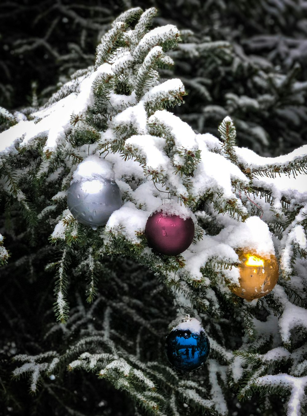 Nahaufnahme eines Weihnachtsbaums mit Ornamenten