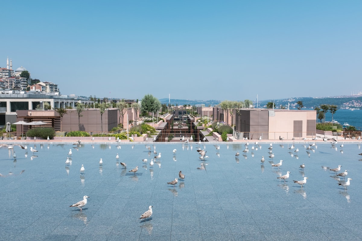 İstanbul Modern Sanat Müzesi