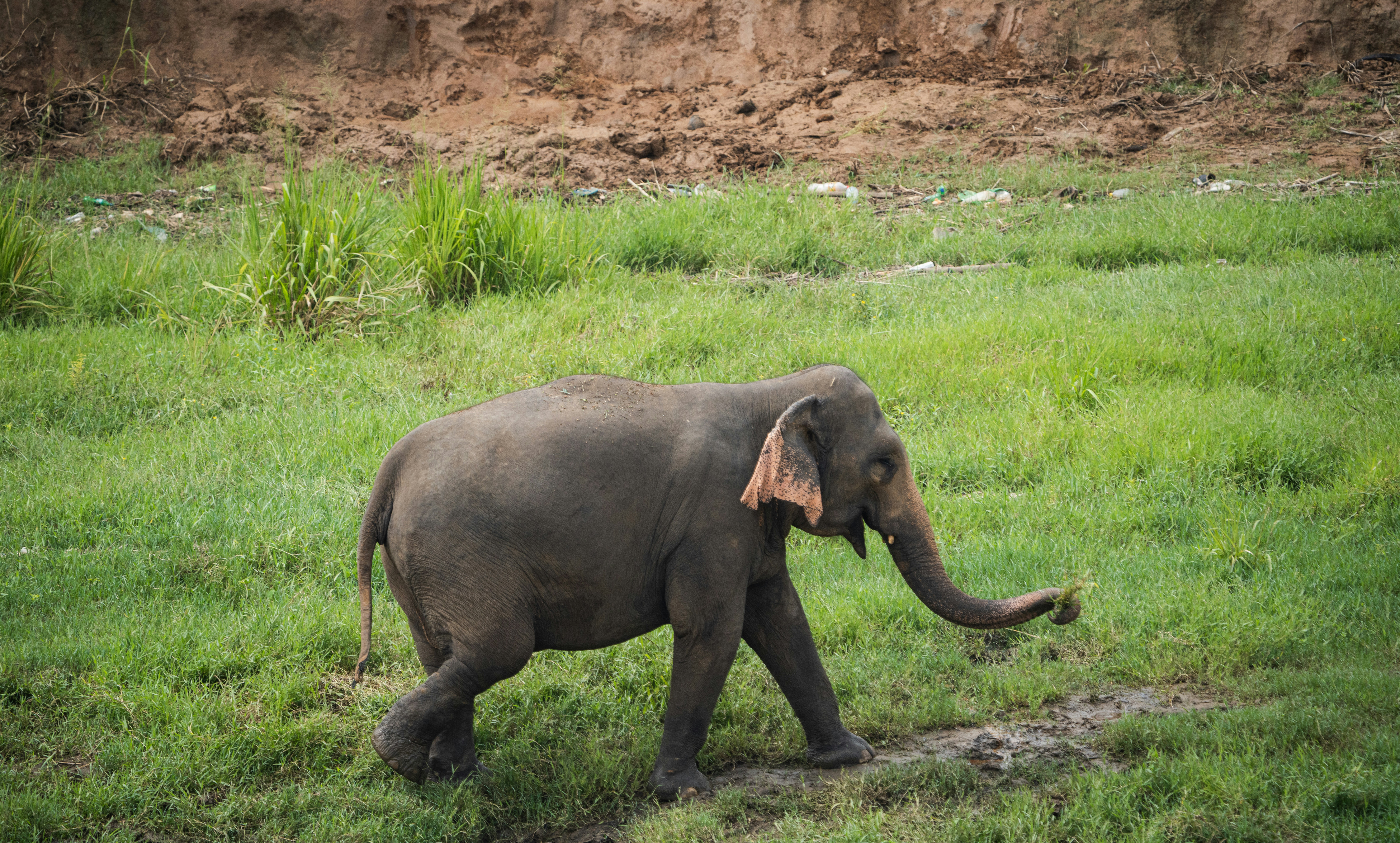 Photo by mhphotography13