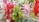 A collection of vibrant, artificial flower arrangements in pots, featuring vivid red, pink, purple, and white hues. The flowers are mixed with green leaves and resemble a garden display on a dirt ground.