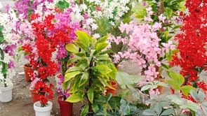 Beautifully arranged artificial plants in decorative pots.
