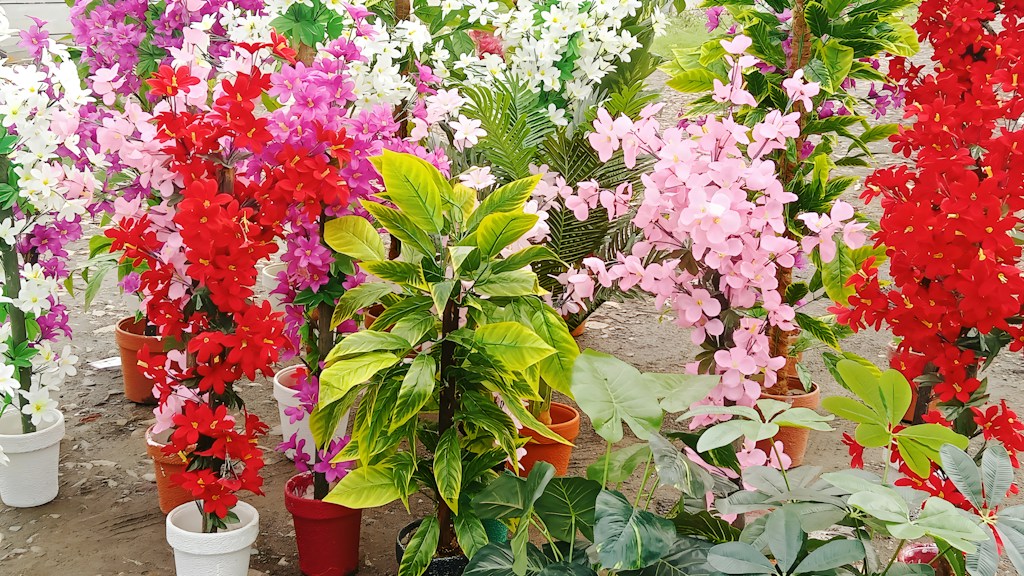 Colorful Planters