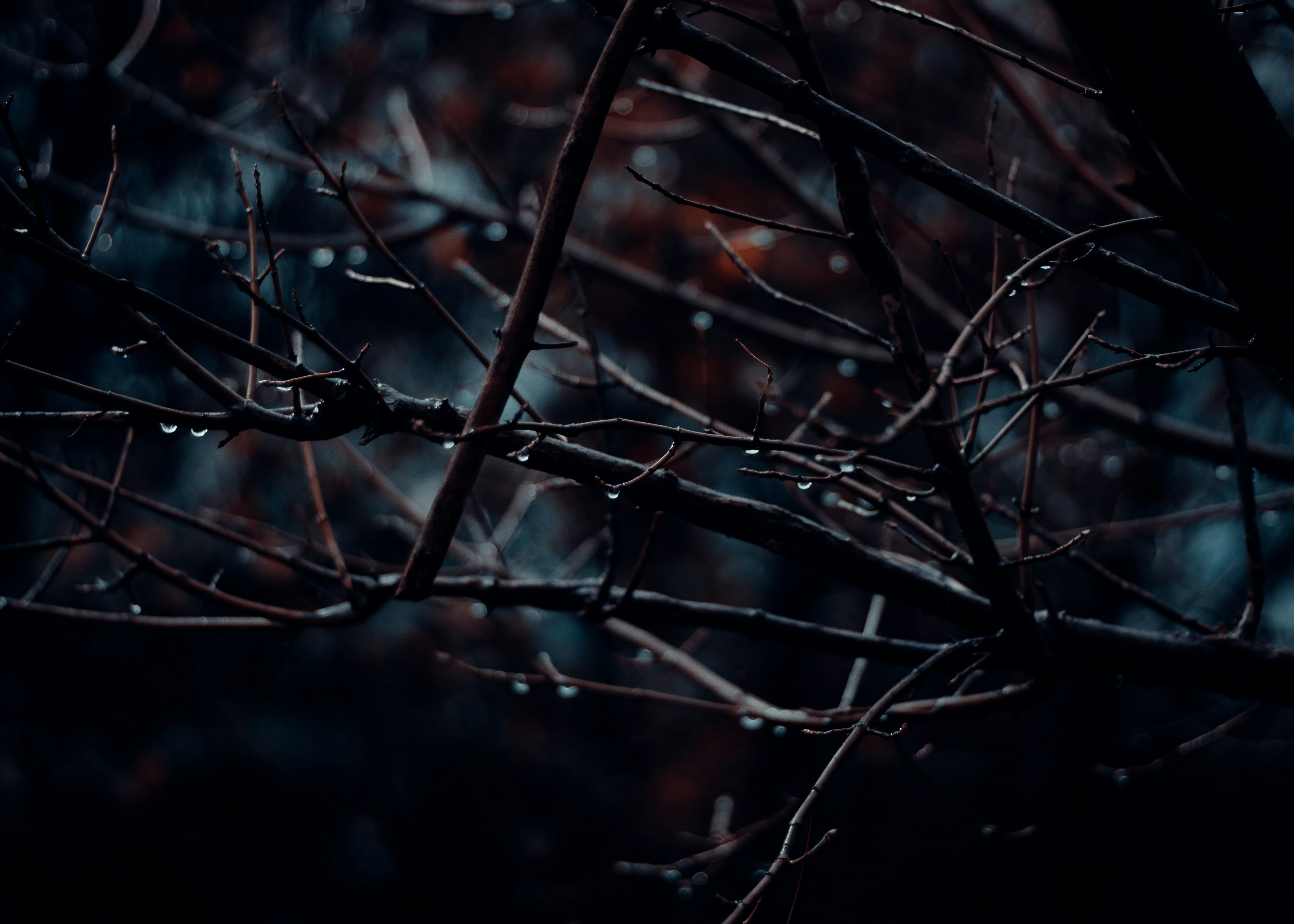 Photo by coekieshots