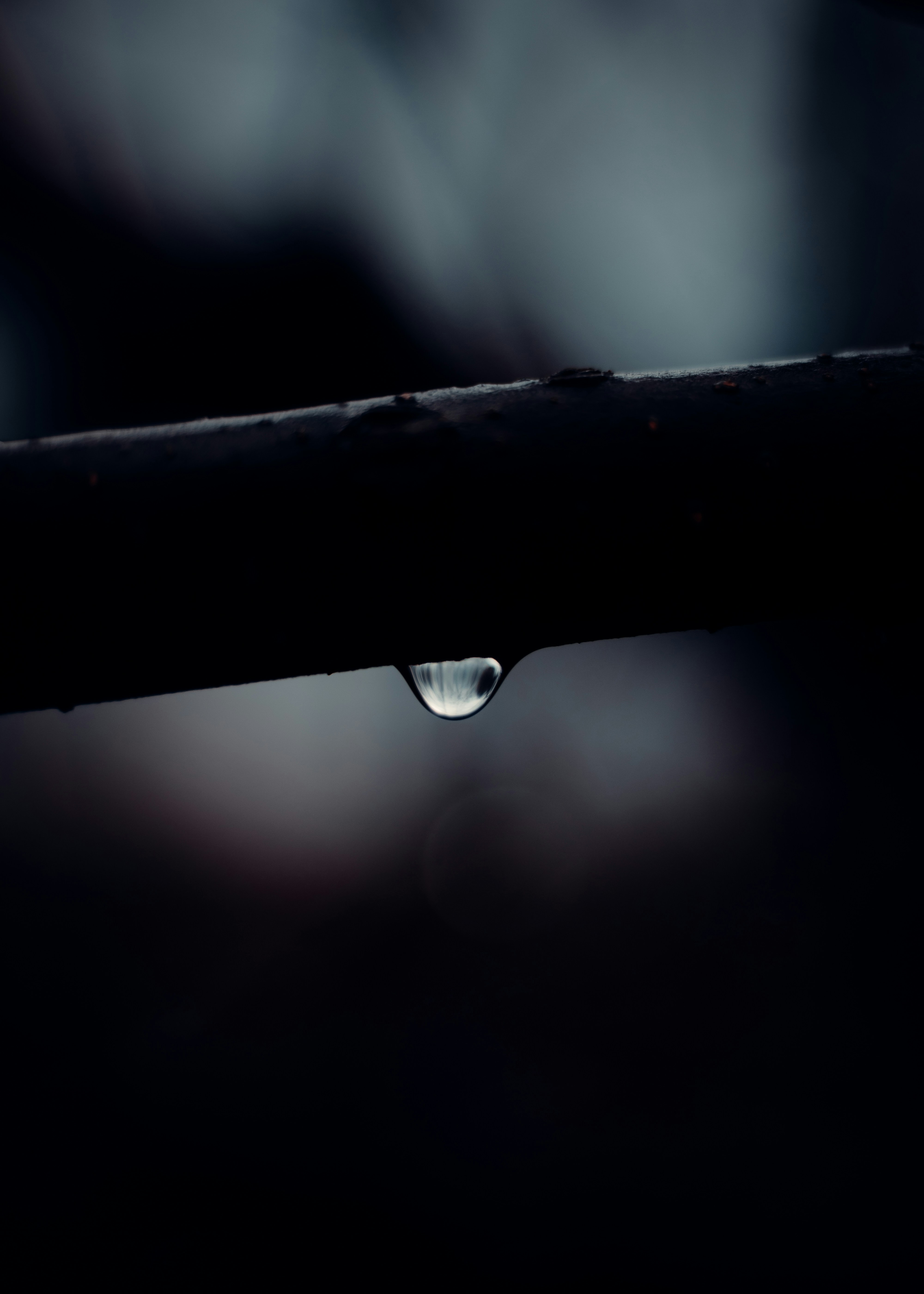 Photo by coekieshots