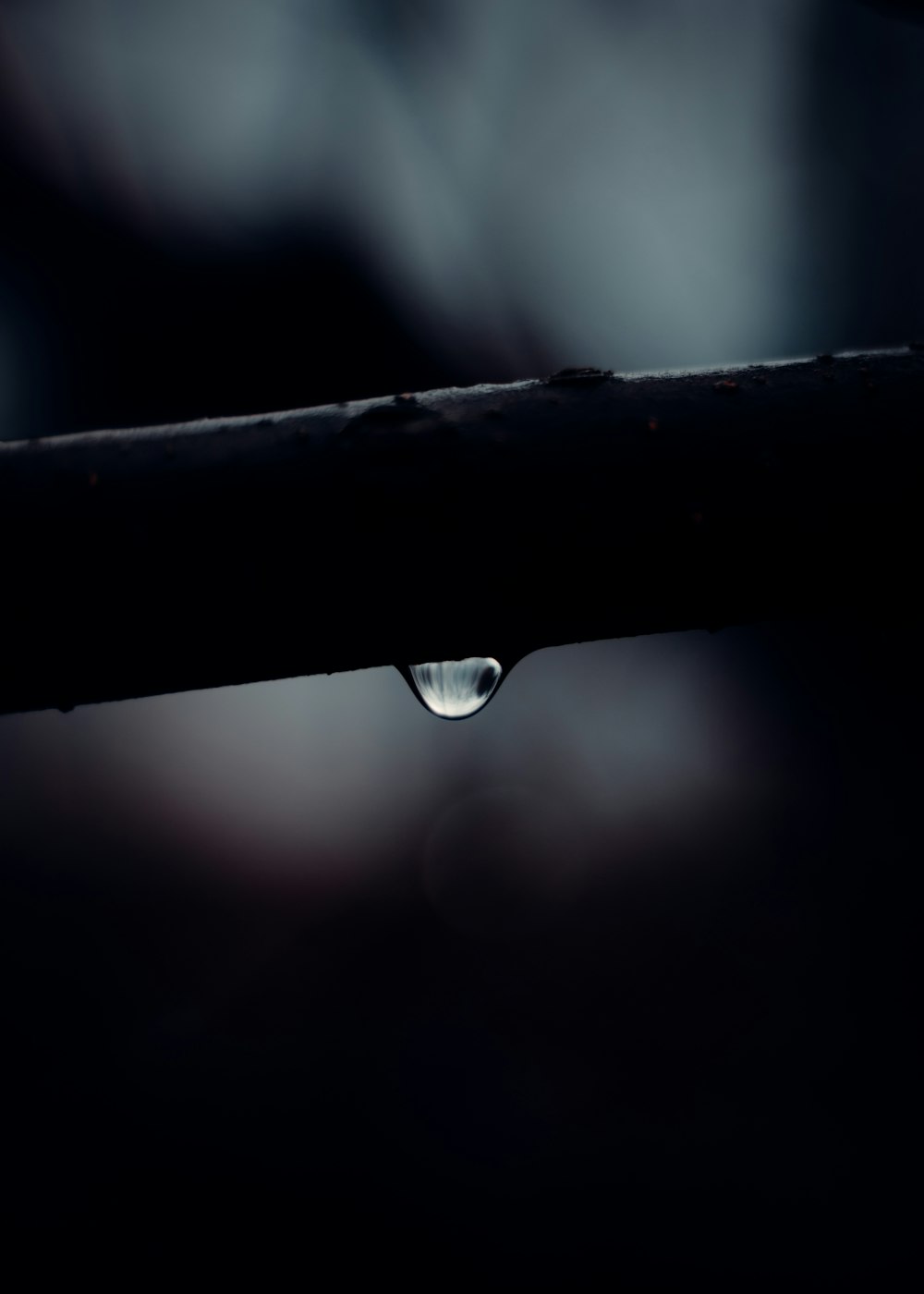 a drop of water sitting on top of a wooden stick