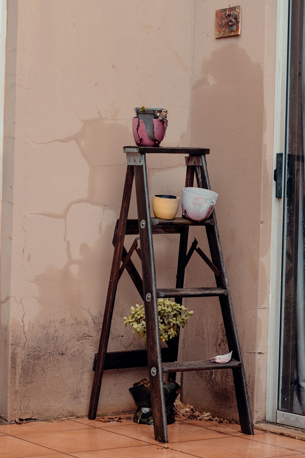 a wooden ladder with a potted plant on top of it