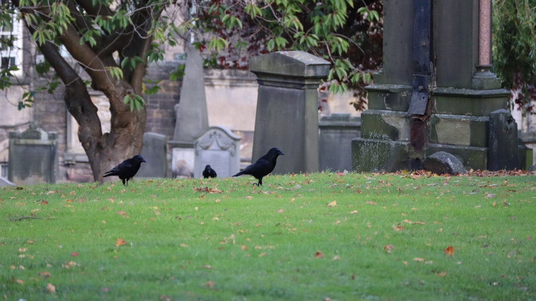 Uncovering London&#8217;s Past: A Journey Through the City&#8217;s Historic Cemeteries