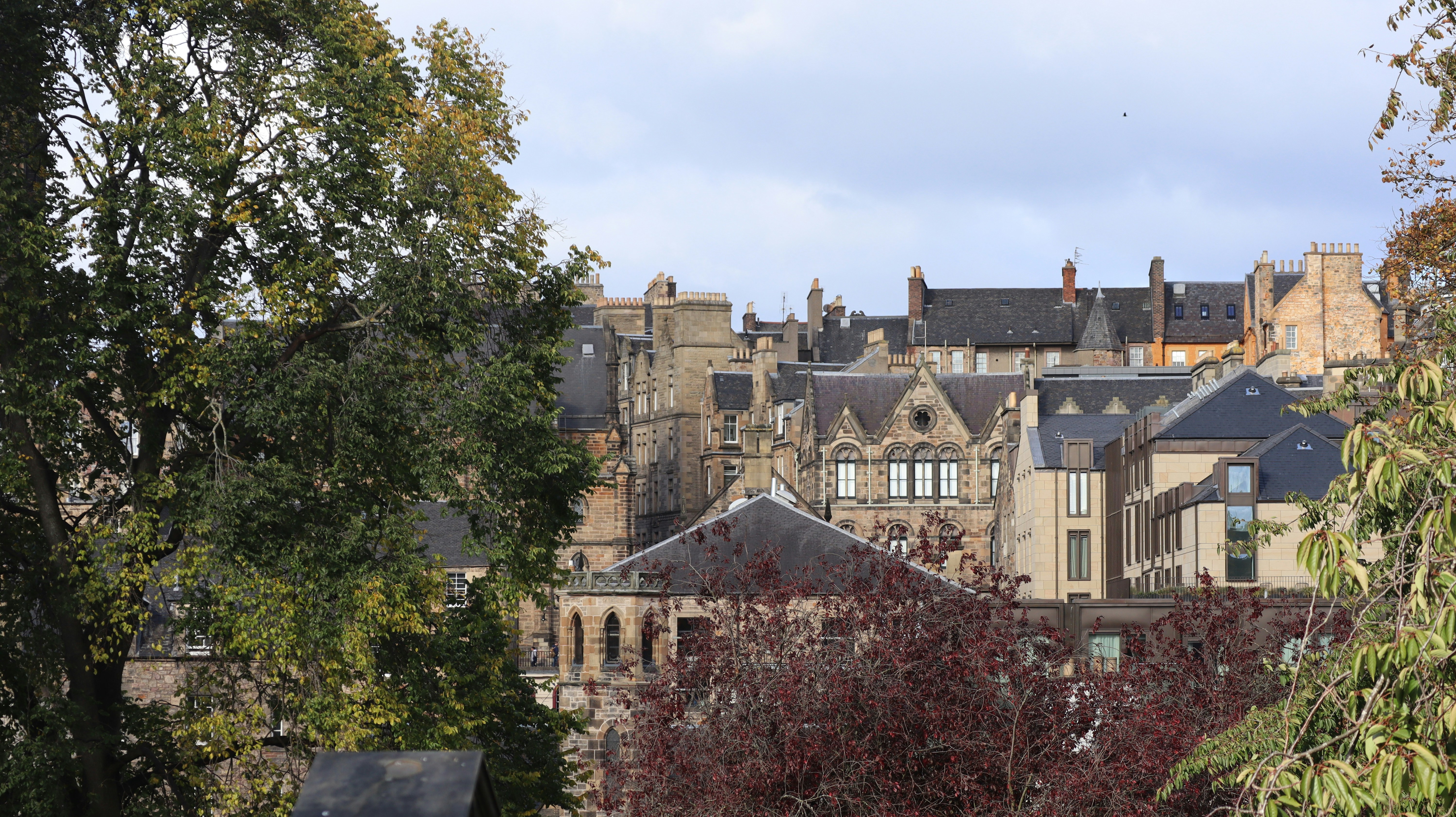 a view of a city from a distance
