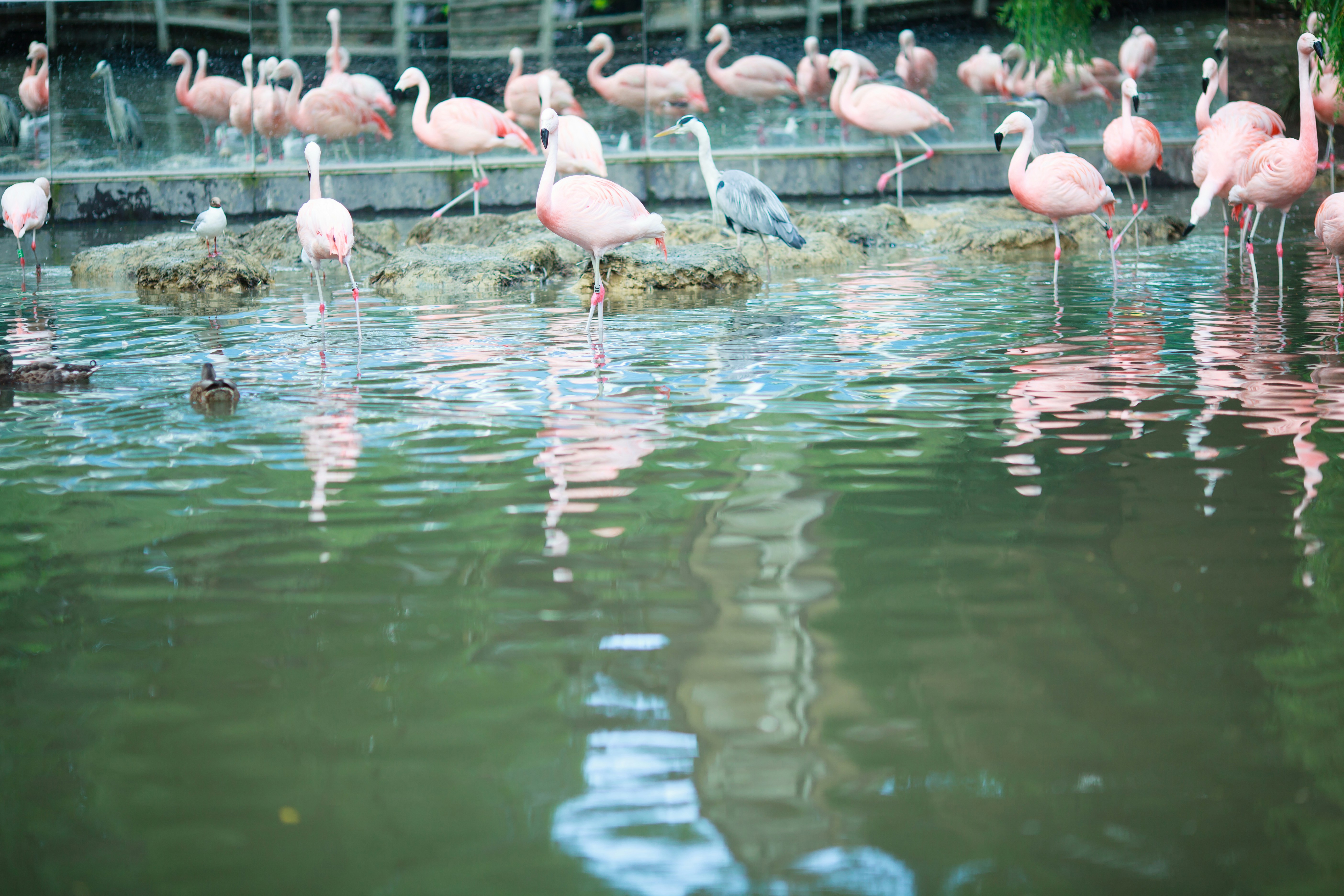 Photo by trieuphu0505