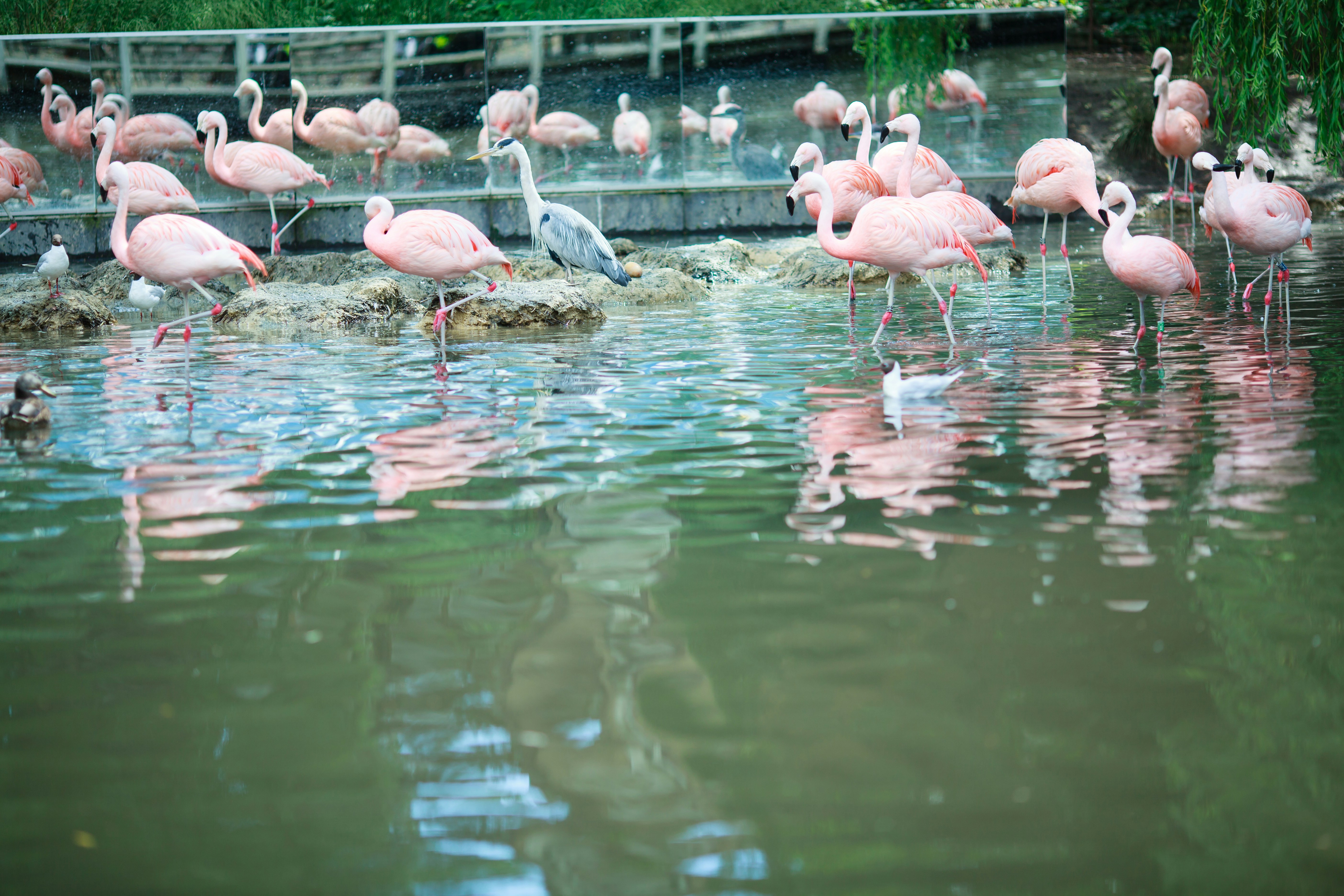 Photo by trieuphu0505