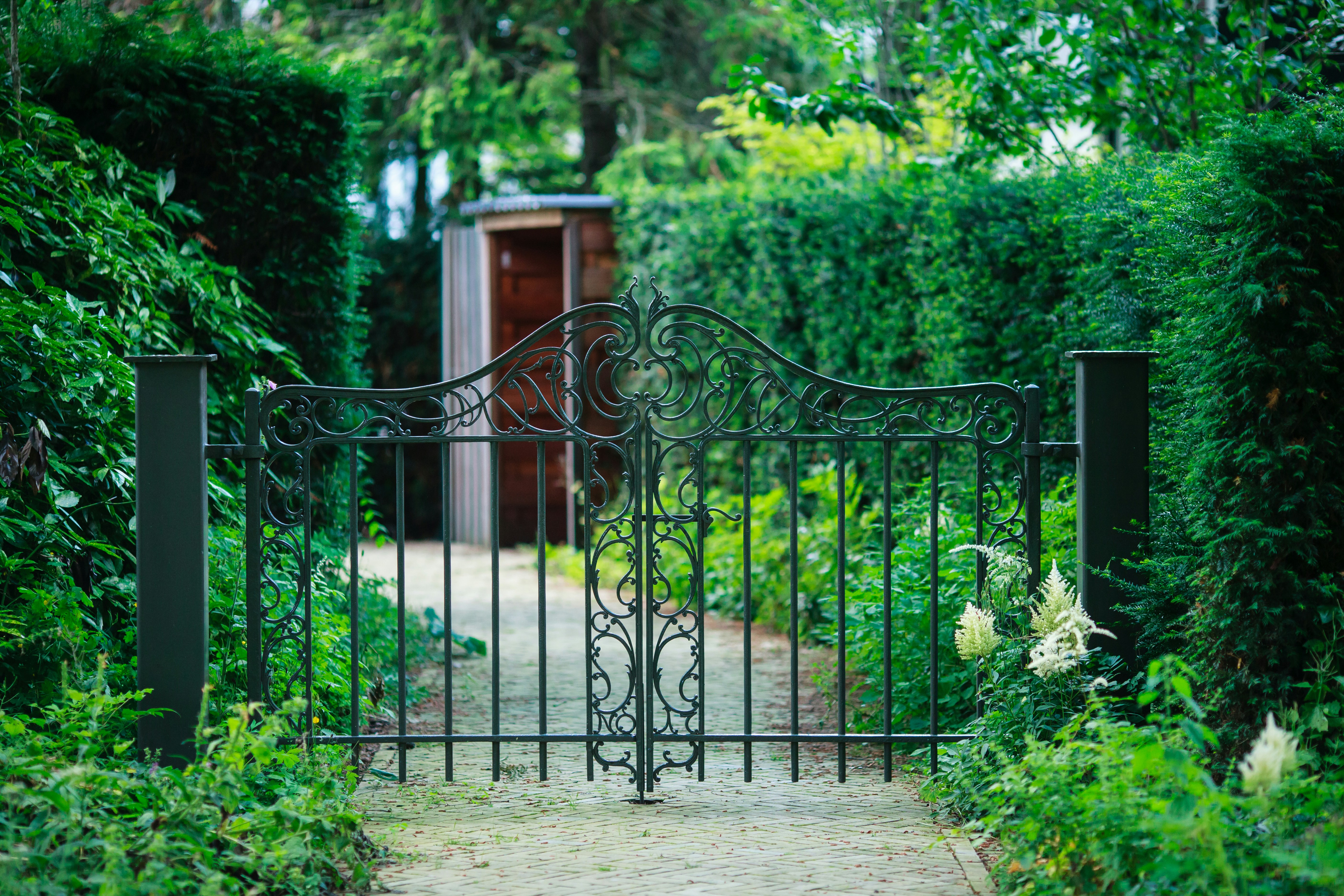 Photo by trieuphu0505