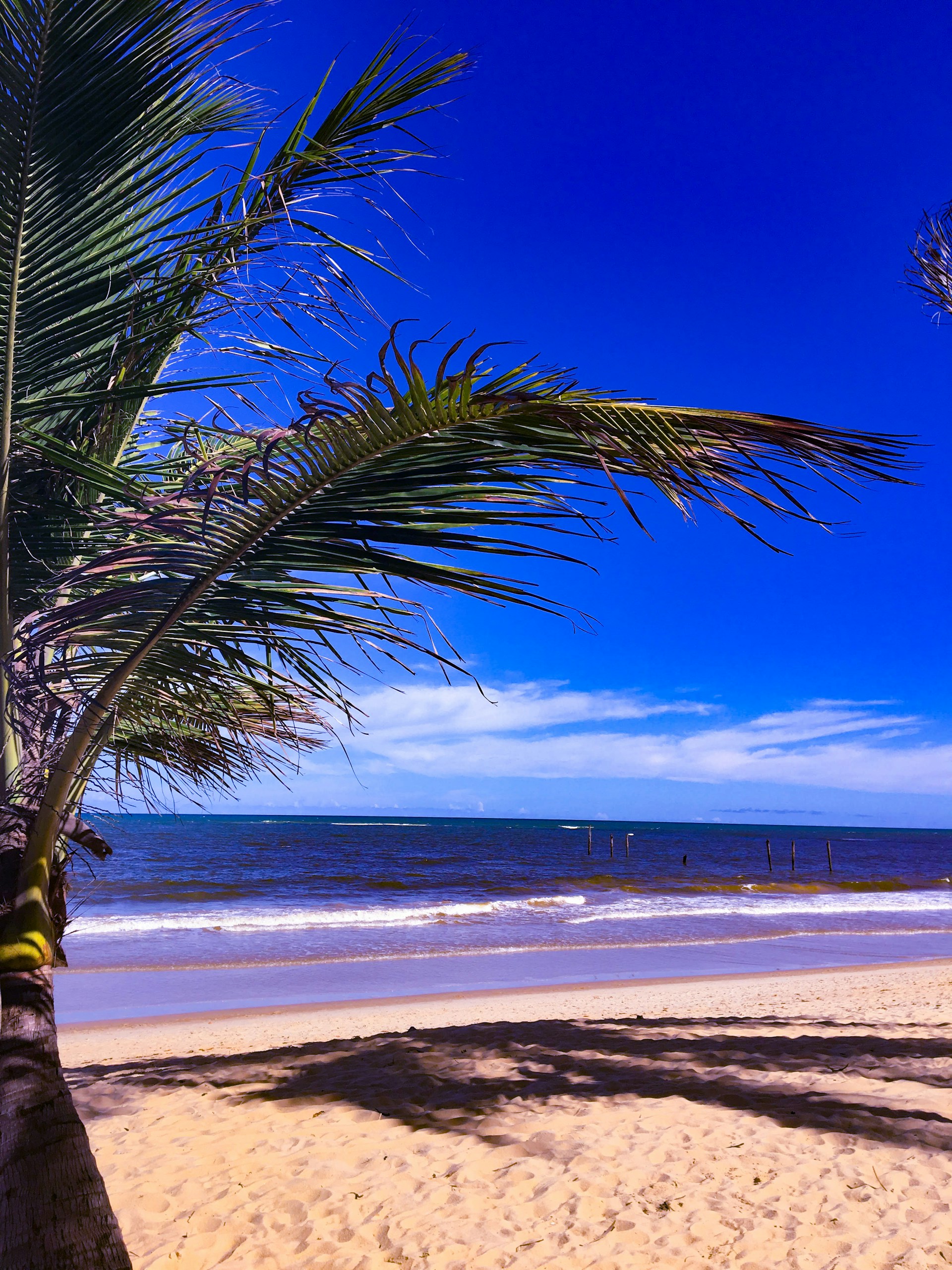 gray computer monitor