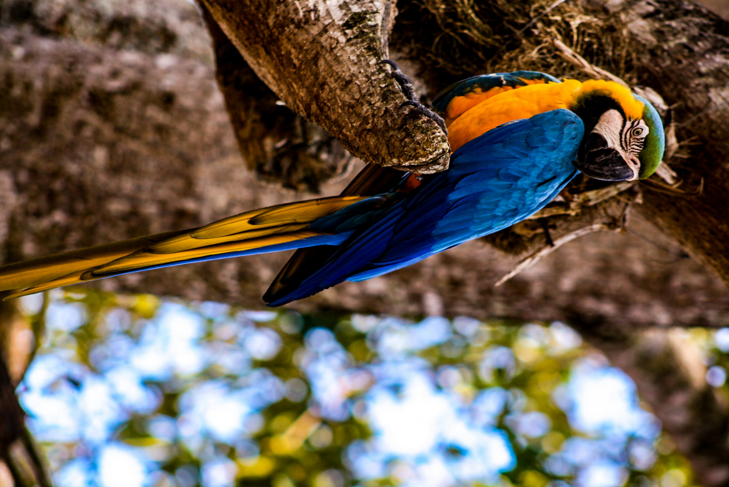 Photo by baobafotosevideos