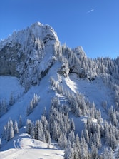 a mountain covered in snow with lots of trees