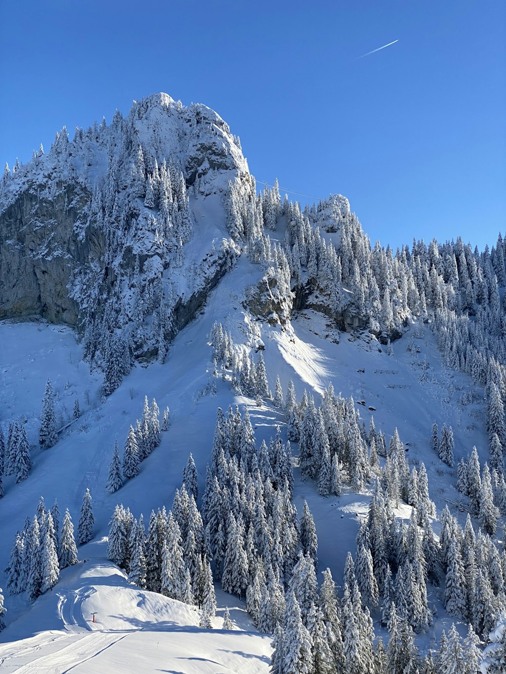 a mountain covered in snow with lots of trees