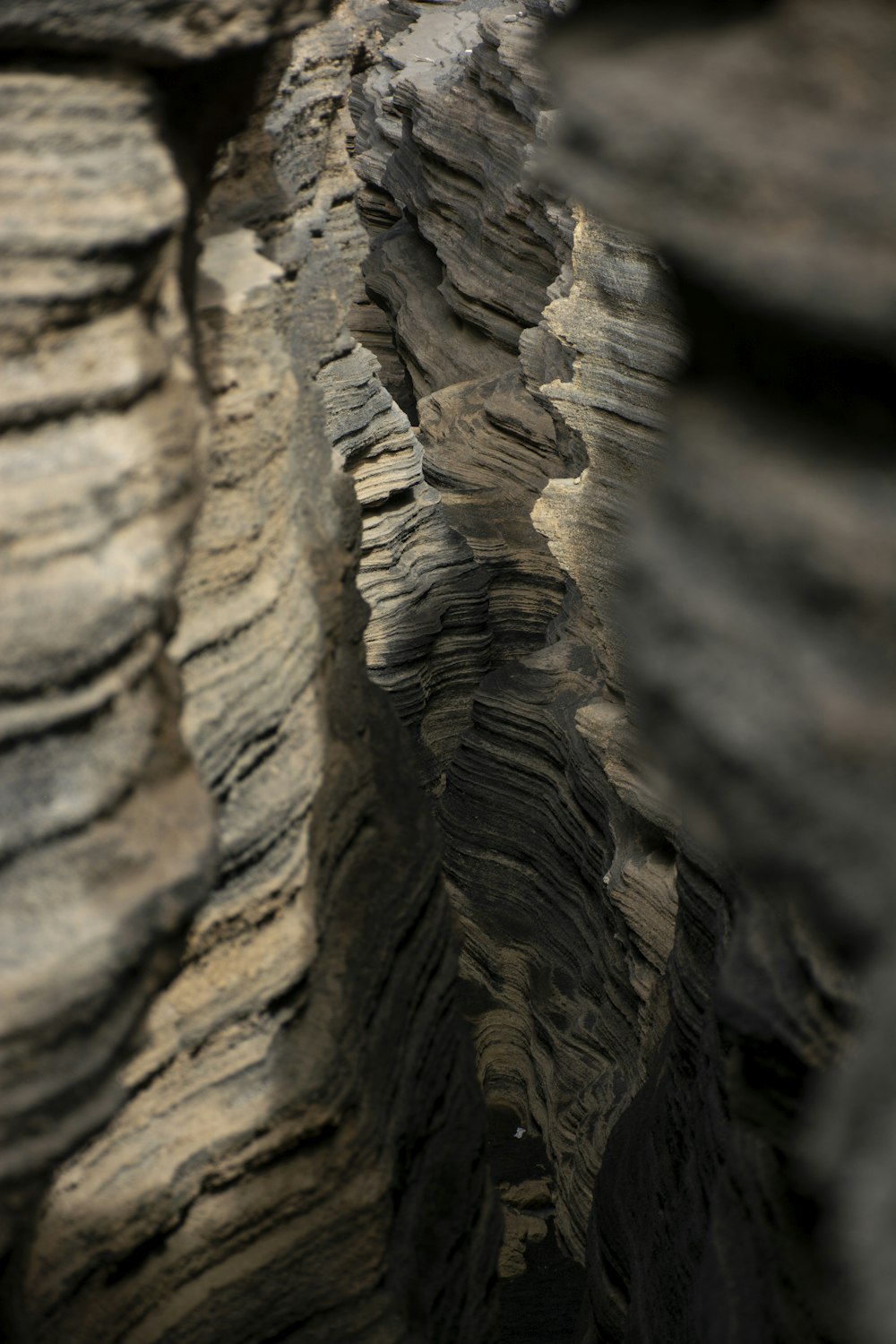 a close up of a rock formation with a bird perched on top of it