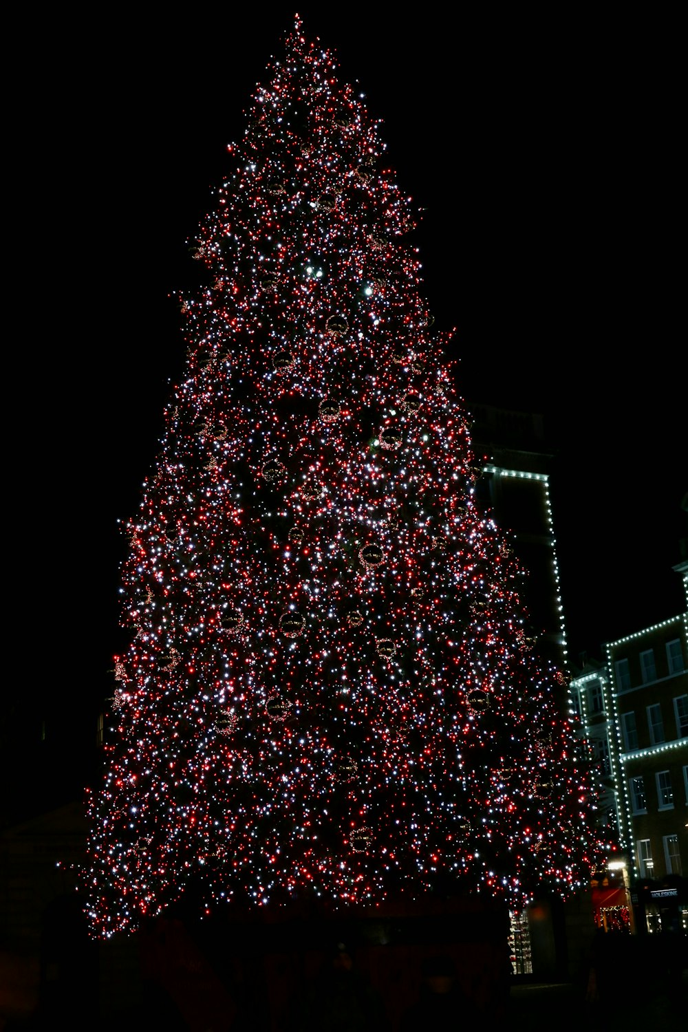 a large christmas tree is lit up at night