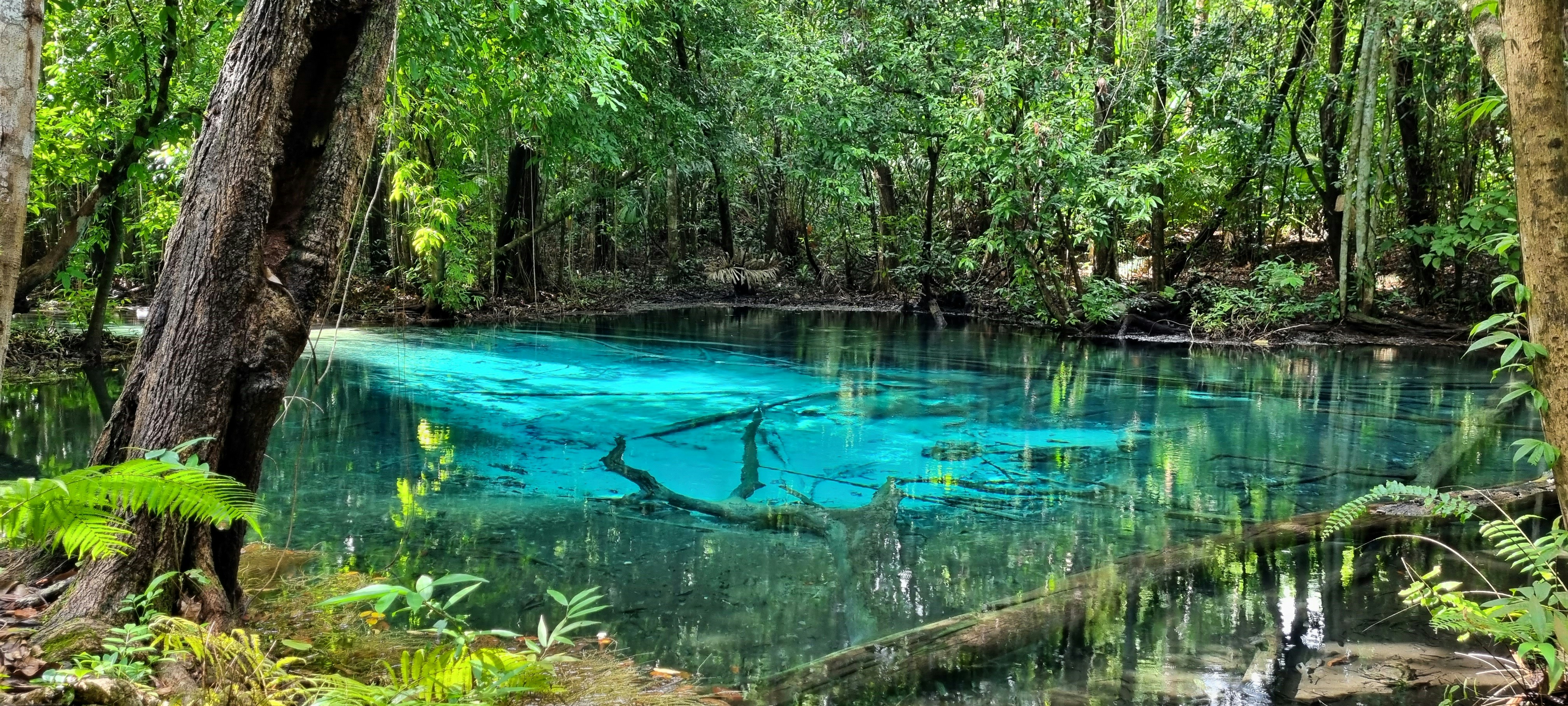Tour Cenotes Mágicos
