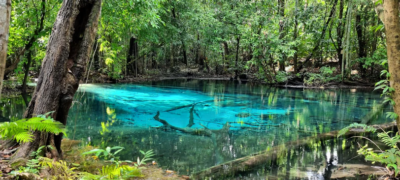 Crystal-clear image of a sparkling spa pool surrounded by lush greenery.