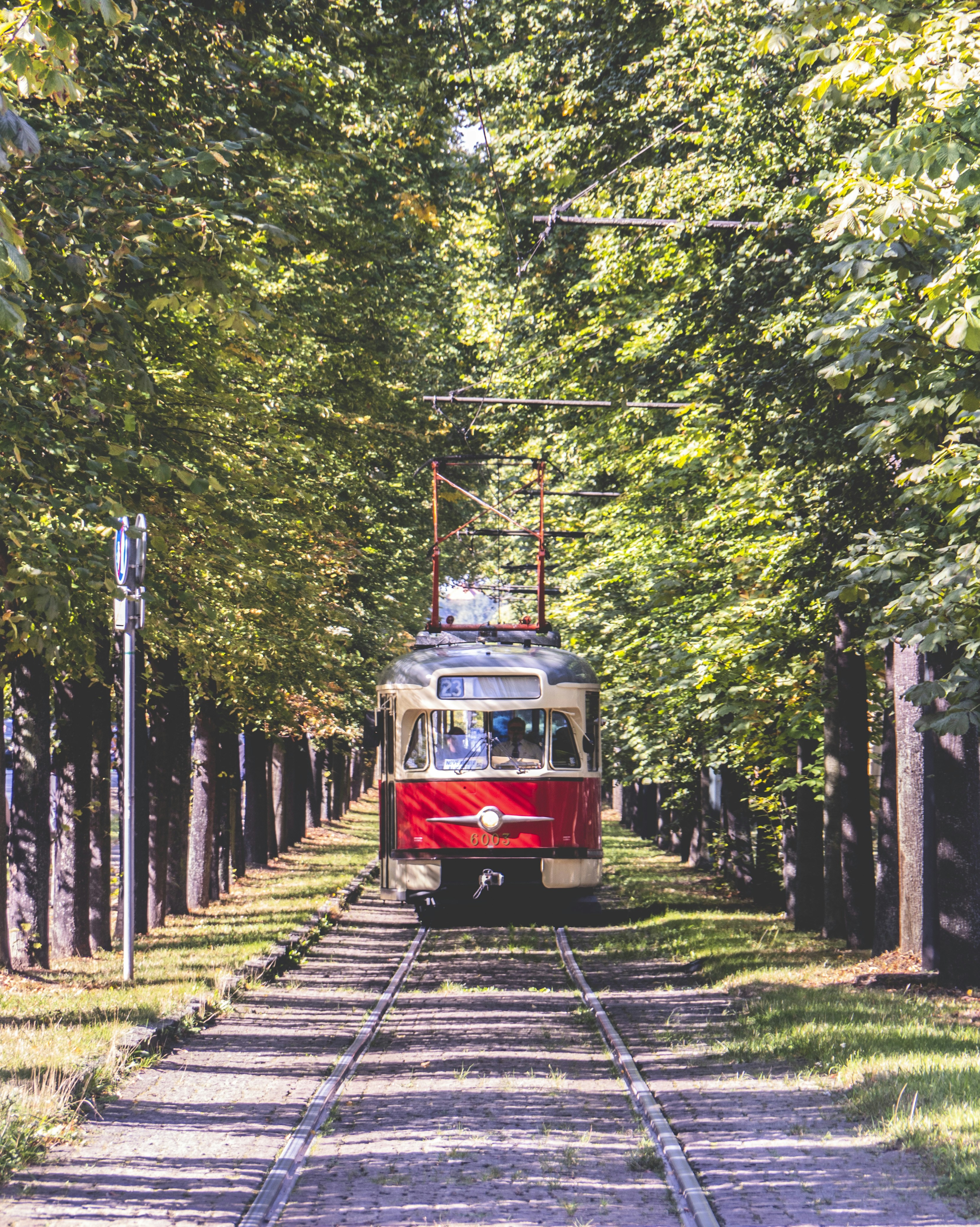 Photo by adonissmart