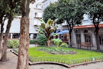A small, well-maintained garden surrounded by trees. In the center, a large tropical plant is flourishing amidst neatly kept grass, enclosed by a low fence. Benches are placed around the garden, providing seating in front of a row of shops with stone facades. The area is shaded by taller trees lining the garden’s perimeters.