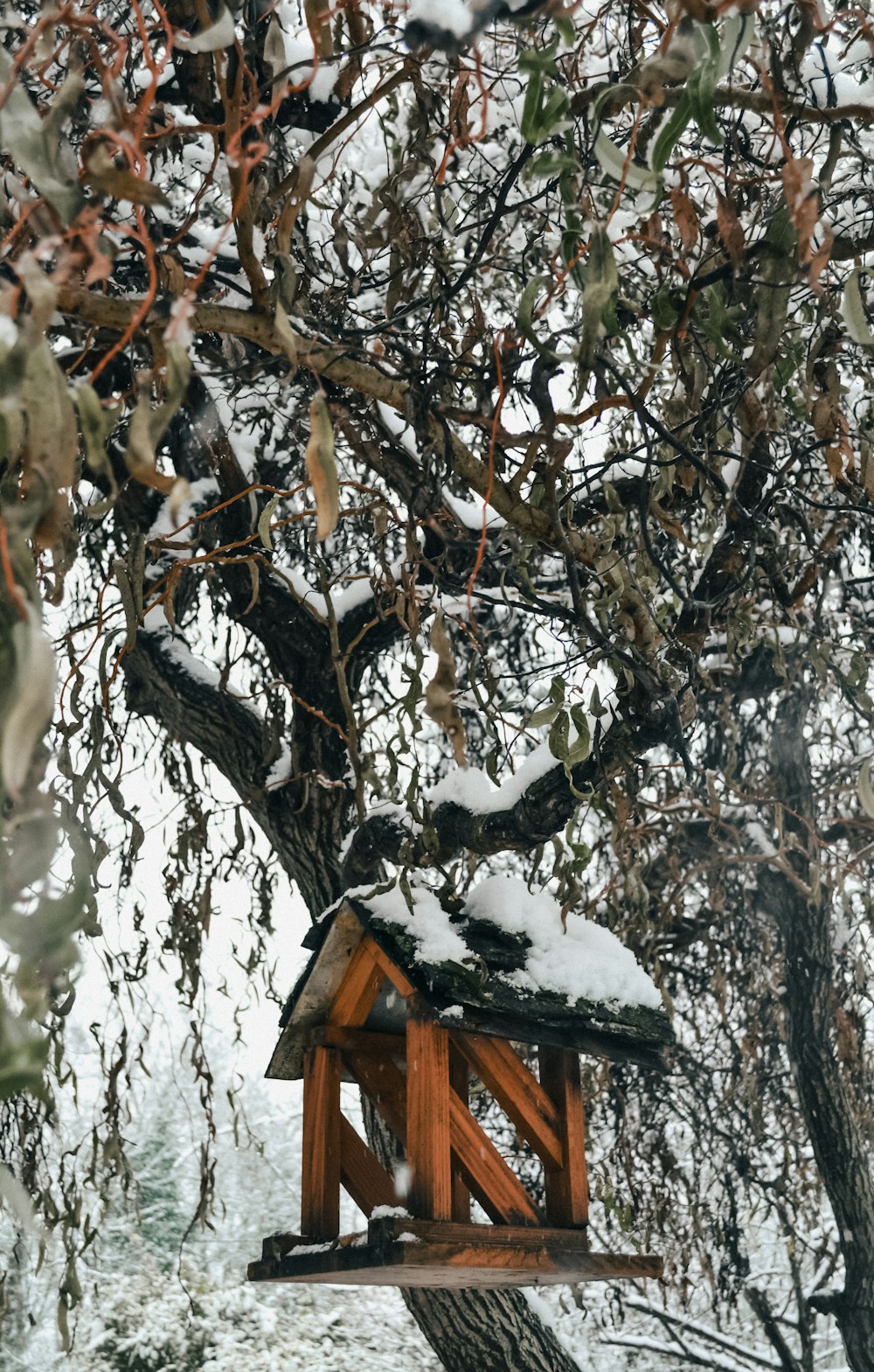 a bird house in a tree covered in snow