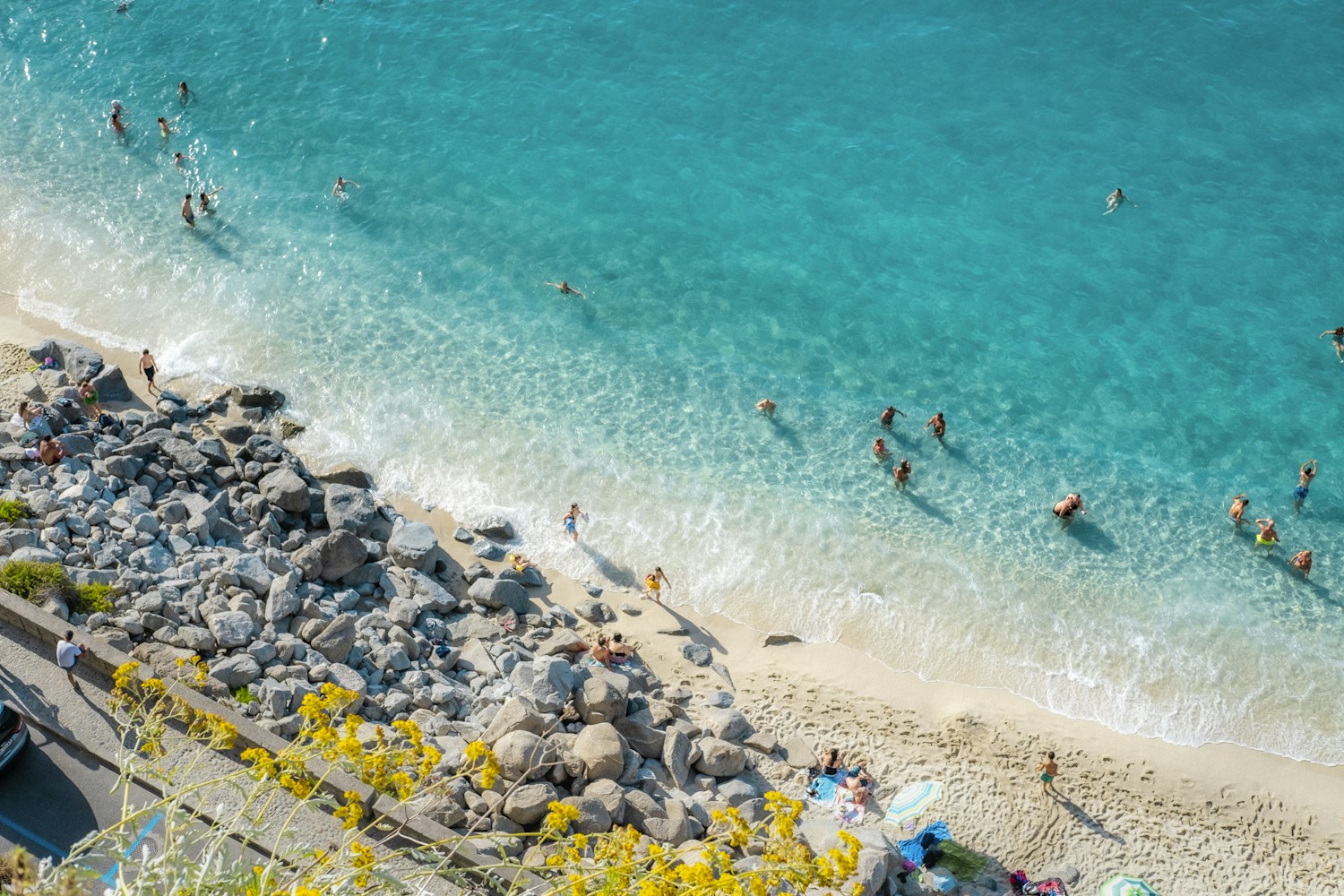 A rocky cove with wildflowers above turquoise water