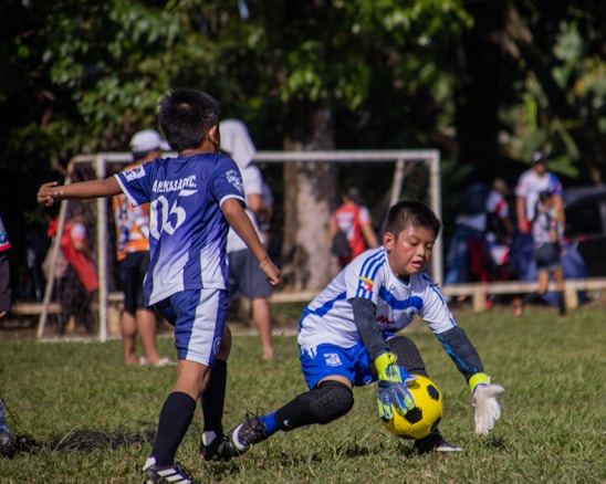 Two young boys are engaged in a soccer game on a grassy field. One boy is wearing a blue and white uniform, positioned to kick a yellow and black soccer ball, while the other is in action as a goalkeeper, wearing gloves and bent down to catch the ball. In the background, more children and adults are visible, possibly spectators, standing near a goalpost.