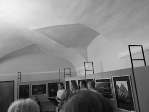 Several people stand in an art gallery observing framed photographs on display. The setting features high, ornate ceilings and a calm atmosphere.