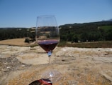 A glass of red wine is placed on a stone surface with an expansive landscape of vineyards and rolling hills in the background under a clear blue sky.