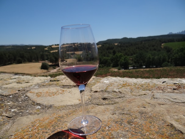 A glass of red wine is placed on a stone surface with an expansive landscape of vineyards and rolling hills in the background under a clear blue sky.