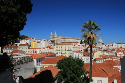 A picturesque view of a cityscape featuring rows of traditional buildings with red-tiled roofs. A prominent cathedral is situated in the background with two towers and ornate architecture. A tall palm tree and dense greenery provide a natural foreground contrast against the clear blue sky.