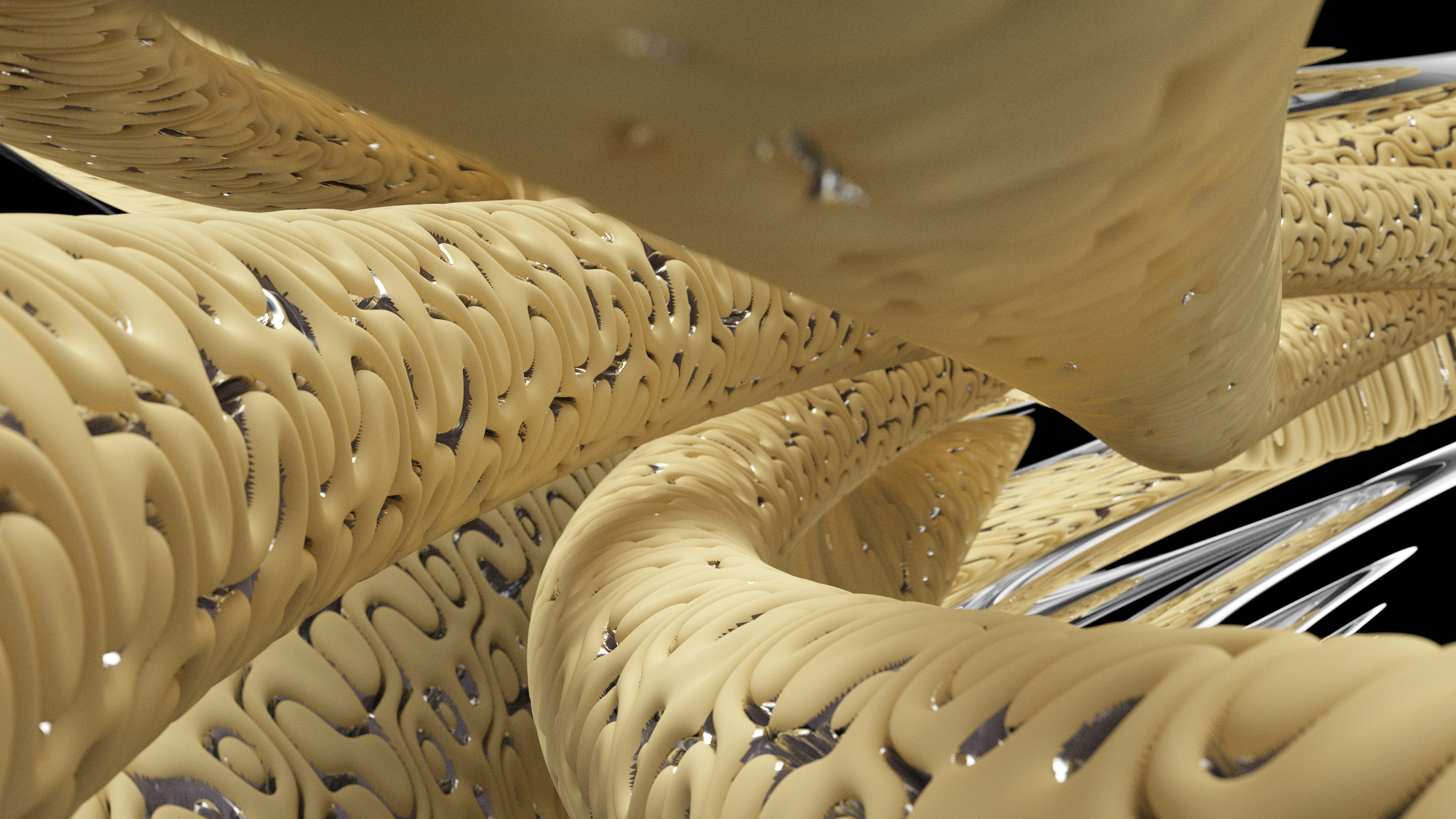 skin layers diagram, wallpaper, Understanding Skin Anatomy Helps Treat Acne 4