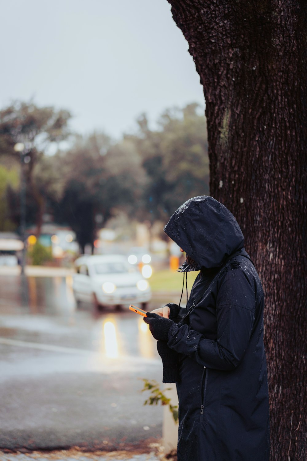 a person standing next to a tree using a cell phone
