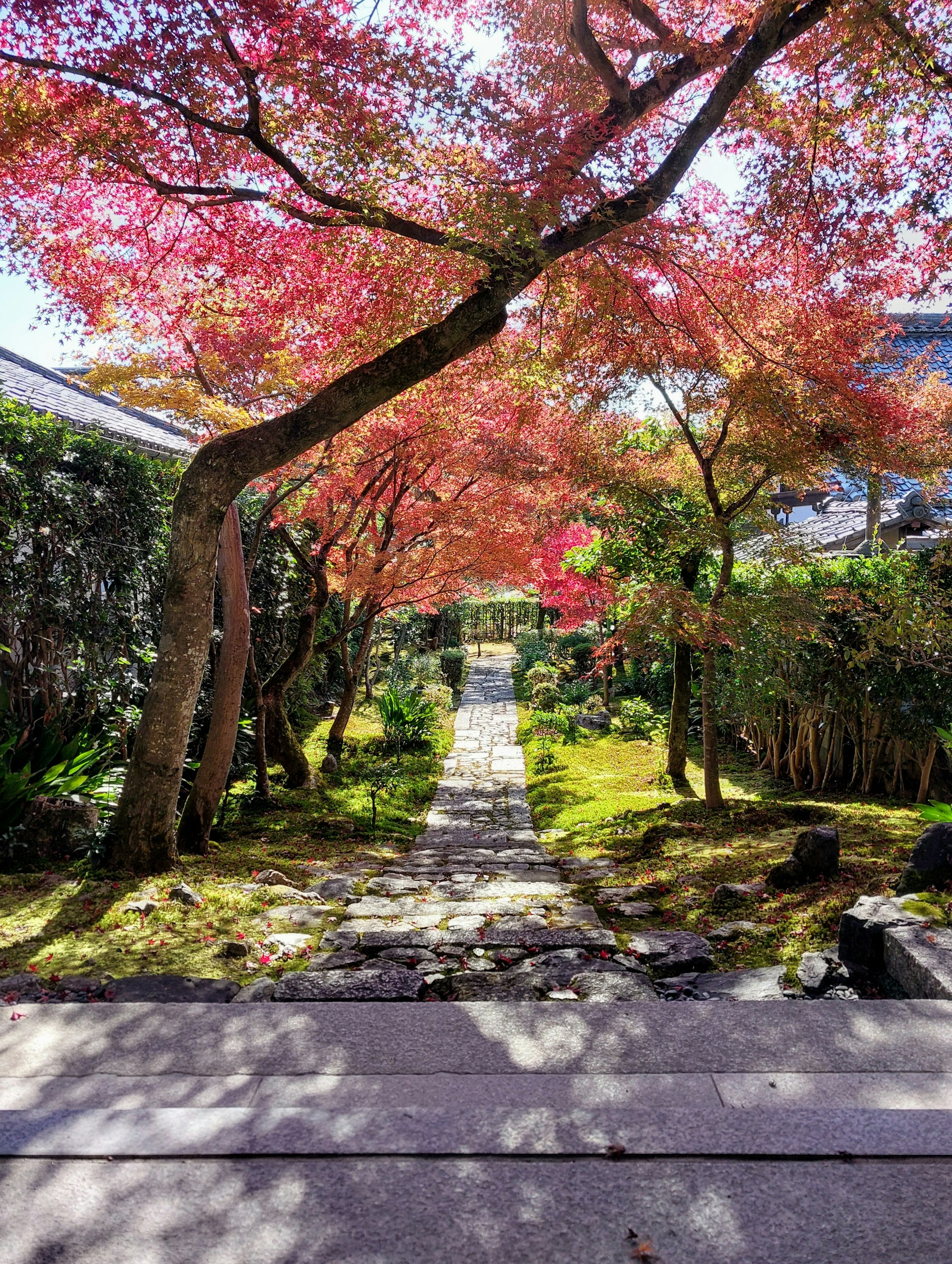 gray computer monitor