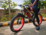 A person stands next to a black and red bicycle with thick tires, positioned on a street lined with greenery. The bicycle has prominent branding on its frame and wheels. The surroundings include small plants and trees, and the ground shows a paved surface with a yellow and black painted curb.