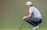 Close-up of a golfer adjusting their sleek, tailored golf trousers on a sunny course.