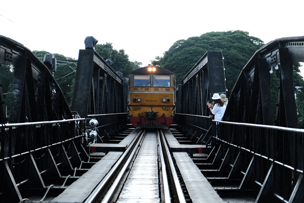 a train traveling over a bridge next to a forest